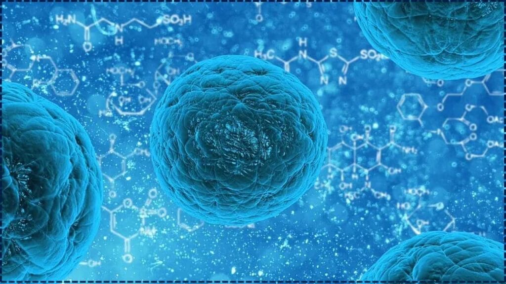 Israeli Researchers Find Antibiotic-Resistant Vibrio Bacteria in Red Sea and Mediterranean 1 Israeli Researchers Find Antibiotic-Resistant Vibrio Bacteria
