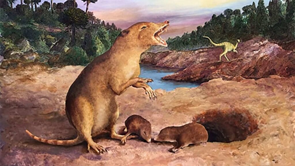 Scientists Confirm 200-Million-Year-Old Species Is Still Alive and Thriving Today 2 200-Million-Year-Old Species