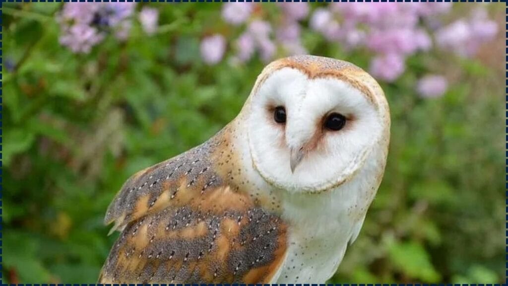 This 40-Second Owl Test May Indicate Your Confidence Level, According to Psychology 1 40-Second Owl Test May Indicate Your Confidence Level