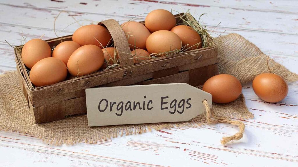 You Could Get Paid—Alderfer Eggs Hit With Lawsuit Over Misleading Ads, Claims Now Open 2 Alderfer Eggs