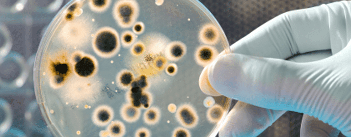 Alien-Like Bacteria Discovered on Space Station – Scientists Stunned by Tiangong Findings 2 Alien-Like Bacteria