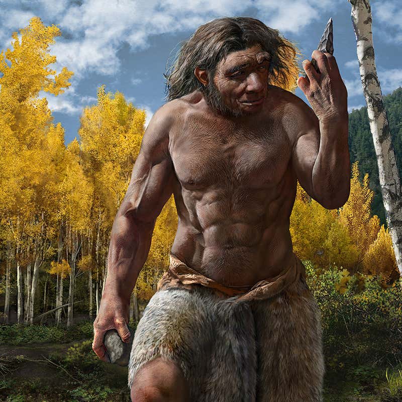 Face Of Ancient Dragon Man Finally Reconstructed Giving Clarity To A Mysterious Human Ancestor From The 1930s 2 Ancient Dragon Man
