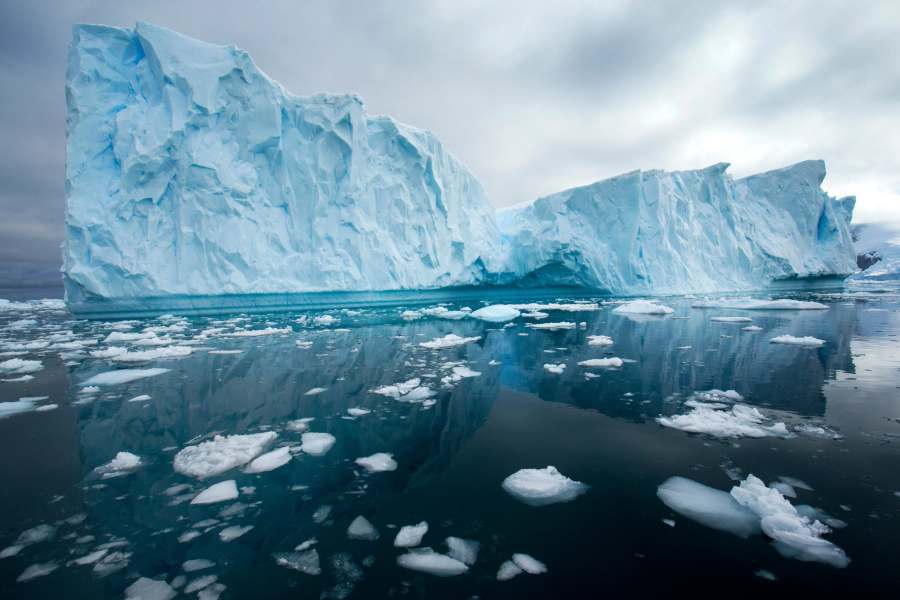 Not Melting Ice, Not Oil Spills—This Silent Threat Is Devastating Antarctica’s Ocean Floor 2 Antarctica’s Ocean Floor