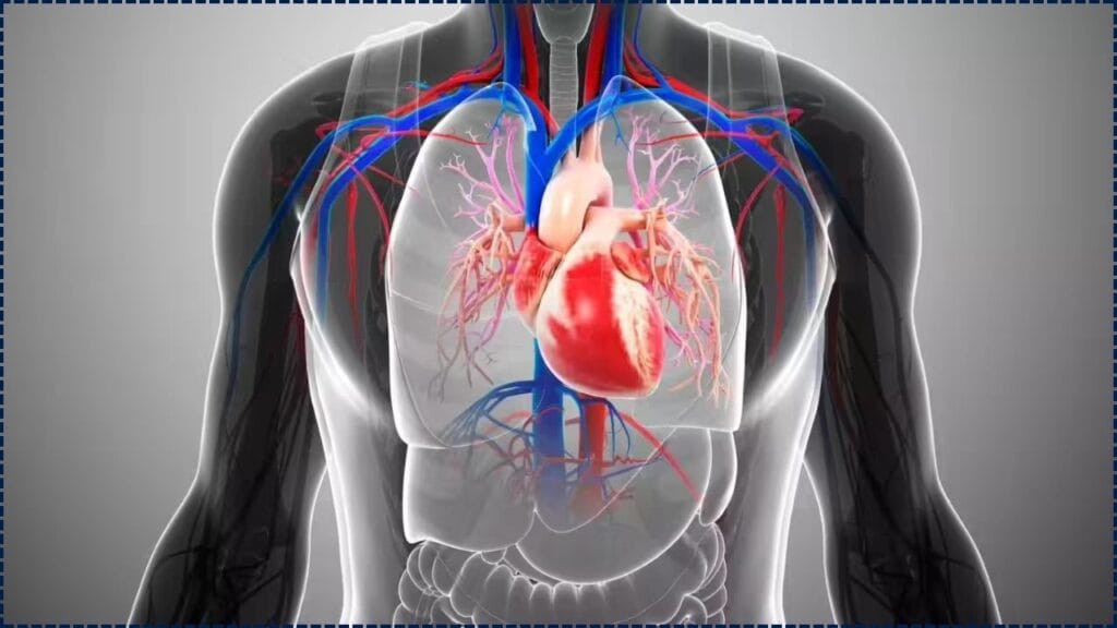 How Your Blood Type Could Influence the Risk of Having a Stroke Before Age 60, According to New Research 1 Blood Type Could Influence the Risk of Having a Stroke