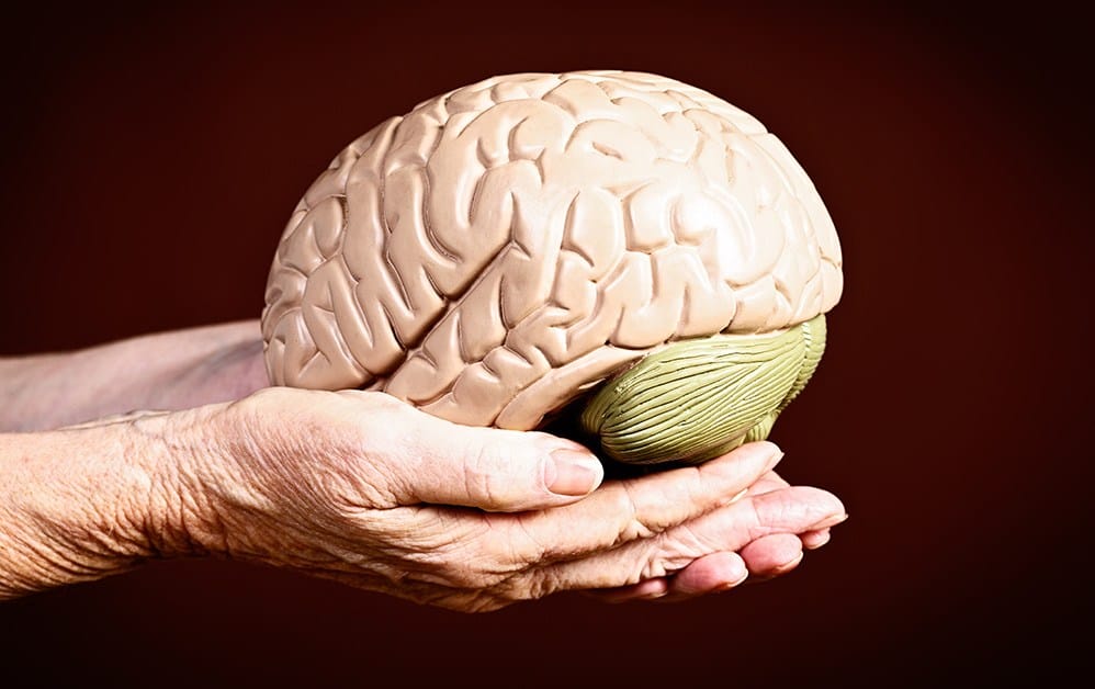 A Simple Physical Exercise May Reveal Your Brain’s True Age And Offer Insight Into Mental Health 2 Brain’s True Age