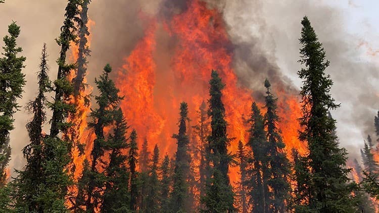 Canada’s Wildfires Shut Down 7% of Oil Production—U.S. Gas Prices Could Skyrocket 1 Canada’s Wildfires Shut Down 7% of Oil Production