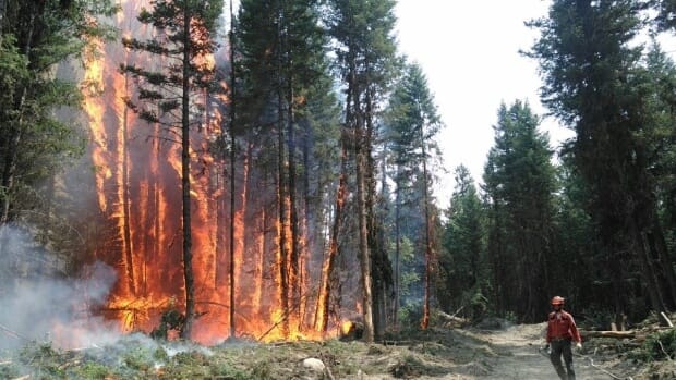 Canada’s Wildfires Shut Down 7% of Oil Production—U.S. Gas Prices Could Skyrocket 2 Canada’s Wildfires