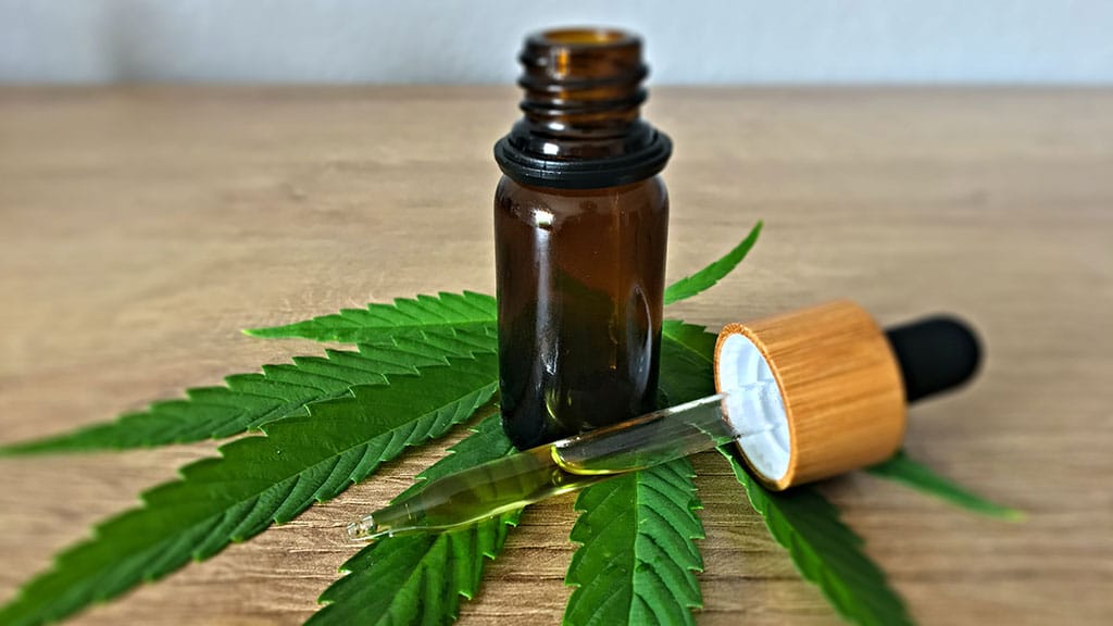 Cannabis Use Among Seniors Raises Health Concerns in New Report – Check the Key Risks and Findings 2 Cannabis