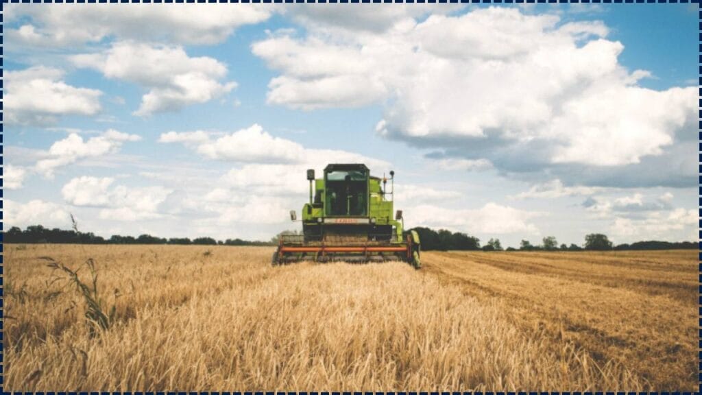 Which Country Can Feed Itself Without Imports and Why the World Is Shocked 1 Country Can Feed Itself Without Imports