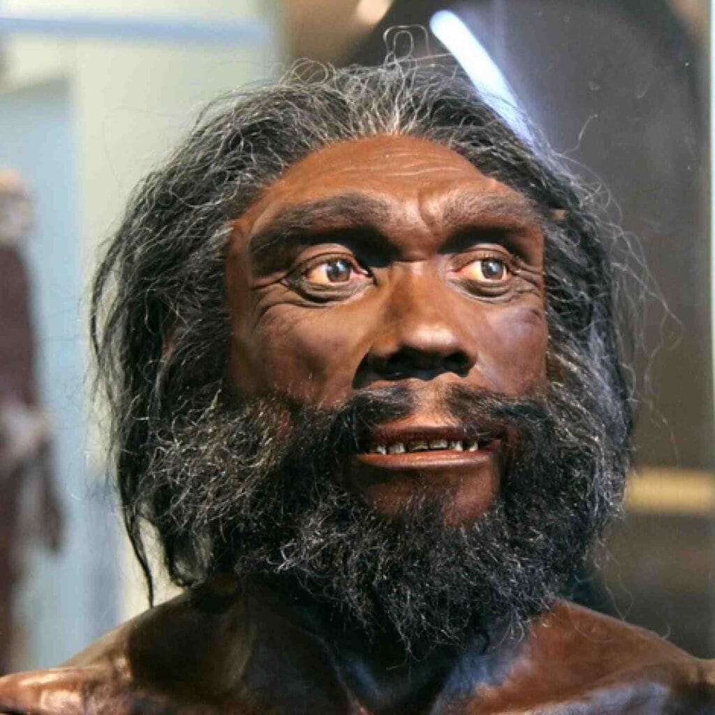 Dragon Man’s Shocking Identity and the Universe’s Missing Matter—What Scientists Found This Week 2 Dragon Man’s