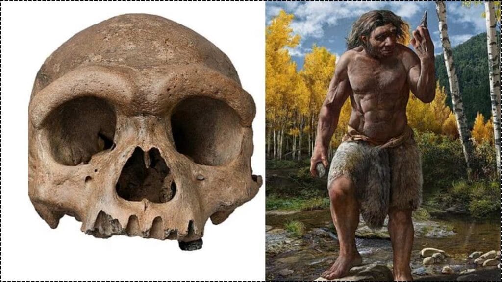 Dragon Man’s Shocking Identity and the Universe’s Missing Matter—What Scientists Found This Week 1 Dragon Man’s Shocking Identity