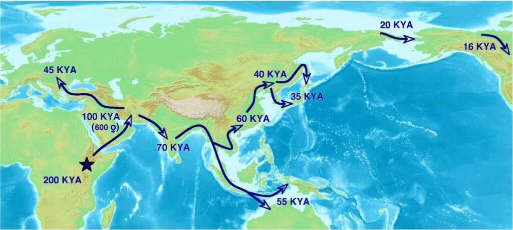 Study Suggests Early Ocean Migration Routes From Asia to Japan 2 Early Ocean Migration Routes