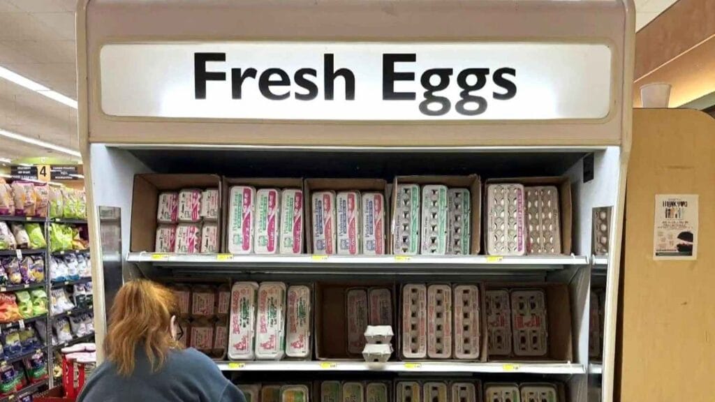 Egg Recall Alert Spreads Across 9 States – Check If Your Carton Is on the List 2 Egg Recall