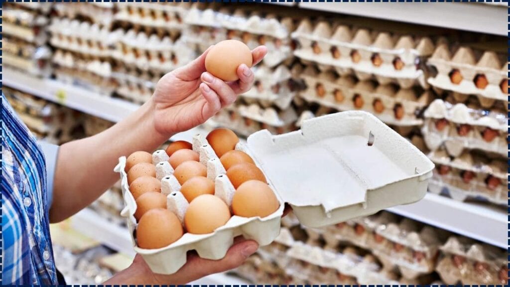 Egg Recall Alert Spreads Across 9 States – Check If Your Carton Is on the List 1 Egg Recall Alert Spreads Across 9 States