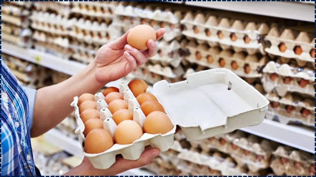 Egg Recall Alert Spreads Across 9 States – Check If Your Carton Is on the List 1 Egg Recall Alert Spreads Across 9 States