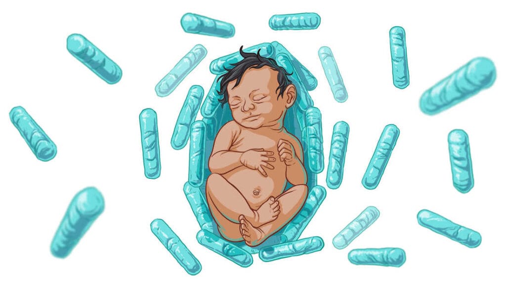 Researchers Discover How Embryos Protect Themselves From Bacterial Infections Without a Mature Immune System 2 Embryos-Bacterial-Infections