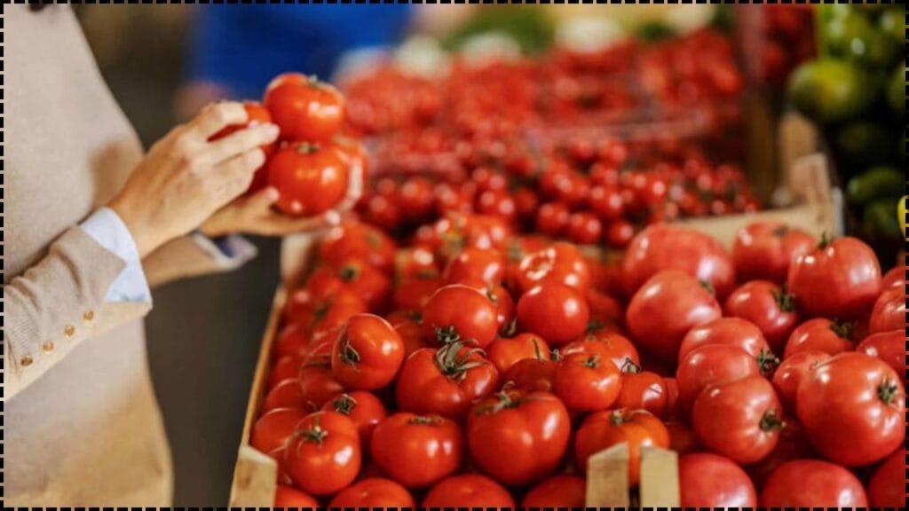 FDA Issues Tomato Recall Due to Salmonella Concerns – Check Affected Products 1 FDA Issues Tomato Recall Due to Salmonella Concerns
