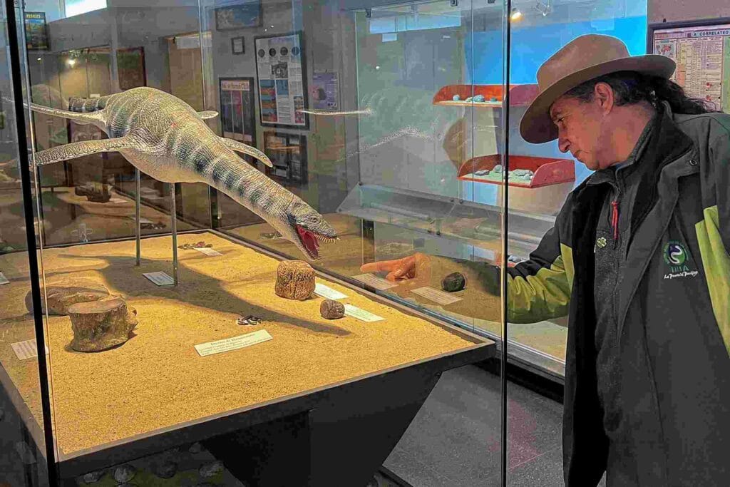 Beachgoer Discovers Fossil Believed to Be Millions of Years Old, Now Under Scientific Study 2 Fossil