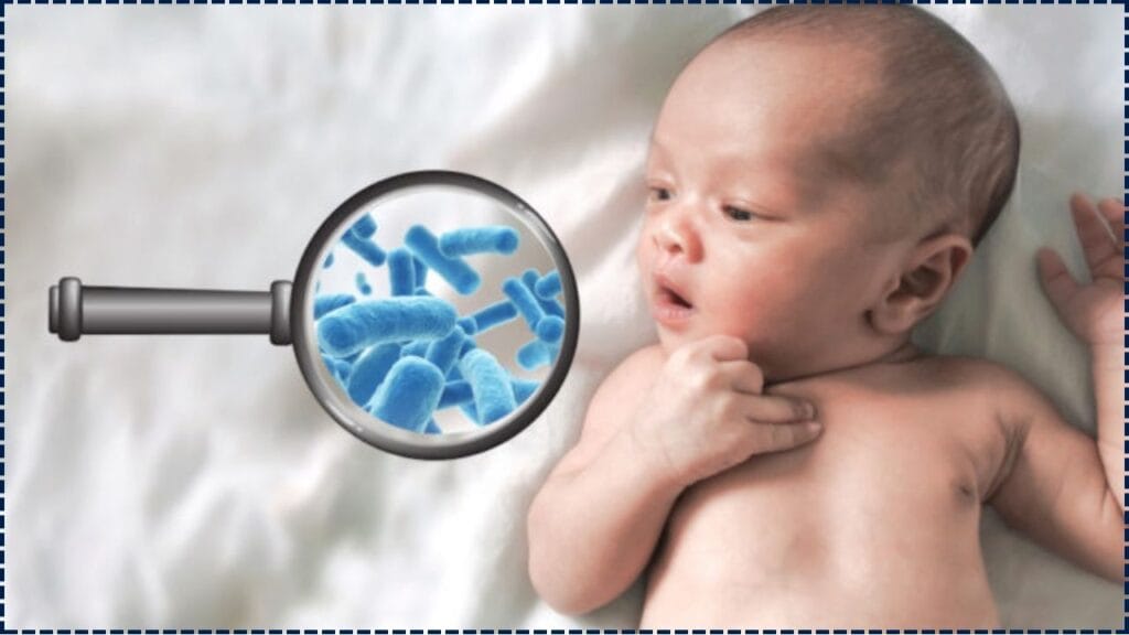 Researchers Discover How Embryos Protect Themselves From Bacterial Infections Without a Mature Immune System 1 How Embryos Protect Themselves From Bacterial Infections