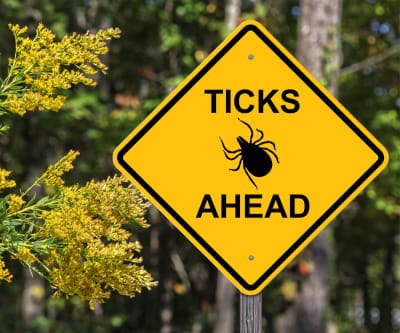 Keep Ticks Out of Your Lawn and Garden With This Proven Strategy Experts Swear By 2 Keep Ticks Out
