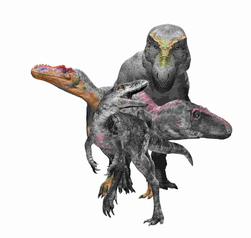 New Dinosaur Species Khankhuuluu Mongoliensis Discovered in Mongolia After 80 Million Years 2 New Dinosaur Species