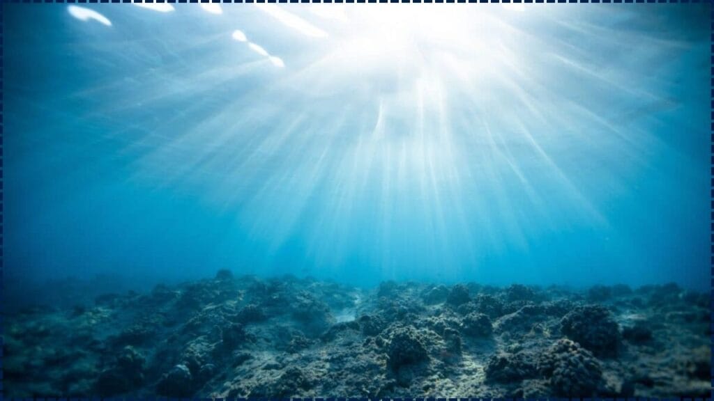 Ocean Oxygen Crisis Deepens as Carbon Dioxide Removal Efforts Face New Challenges 1 Ocean Oxygen Crisis