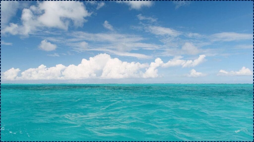 Oceans Are Changing Color—And It’s Forcing Marine Life to Migrate Toward the Poles 1 Oceans Are Changing Color
