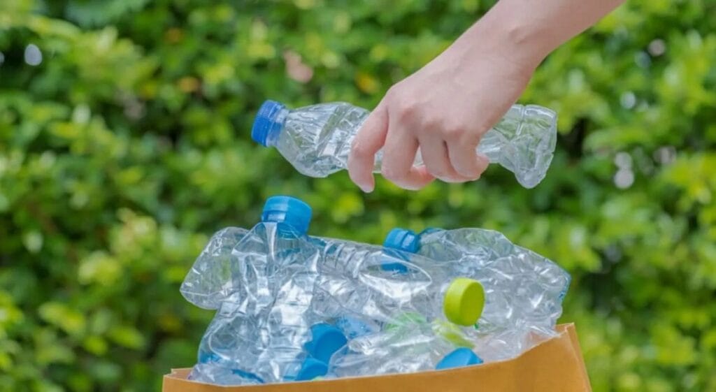 Scientists Turn Plastic Waste Into Painkillers Using E. Coli Bacteria—Breakthrough in Medicine 2 Plastic Waste