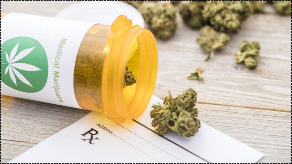 Regular Marijuana Use May Pose Heart Health Risks Suggests New Study Highlighting Long-Term Concerns 1 Regular Marijuana Use May Pose Heart Health Risks
