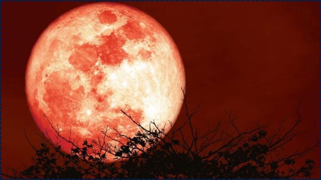 Strawberry Moon 2025 Set to Break a Notable Annual Record This June 1 Strawberry Moon 2025