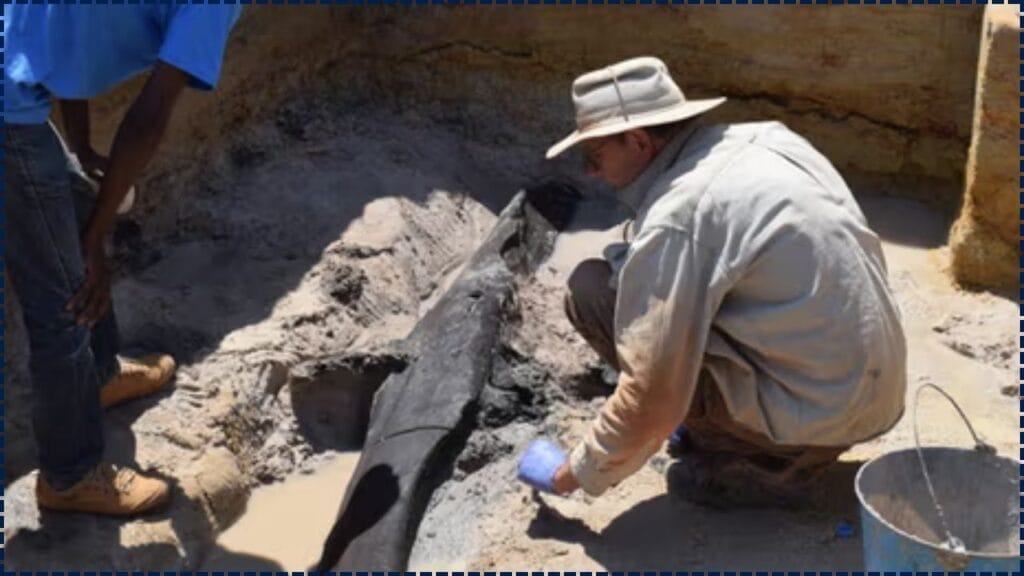 Neither Stone Nor Bone – World’s Oldest Wooden Structure Found in Zambia Stuns Archaeologists 1 World’s Oldest Wooden Structure Found in Zambia
