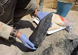 Neither Stone Nor Bone – World’s Oldest Wooden Structure Found in Zambia Stuns Archaeologists 2 World’s Oldest Wooden Structure