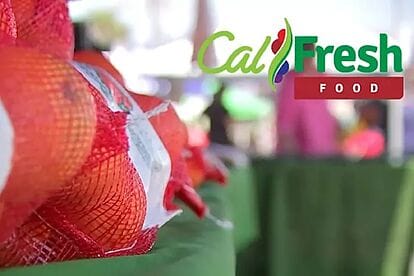 $1756 CalFresh Payment In July 2025, How to Claim it? Check Eligibility, Payment Date 2 CalFresh Payment