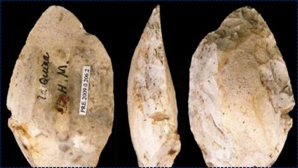 Early Human Tools in China Suggest Surprising Insights Into Prehistoric Diets 1 Early Human Tools in China Suggest Surprising Insights