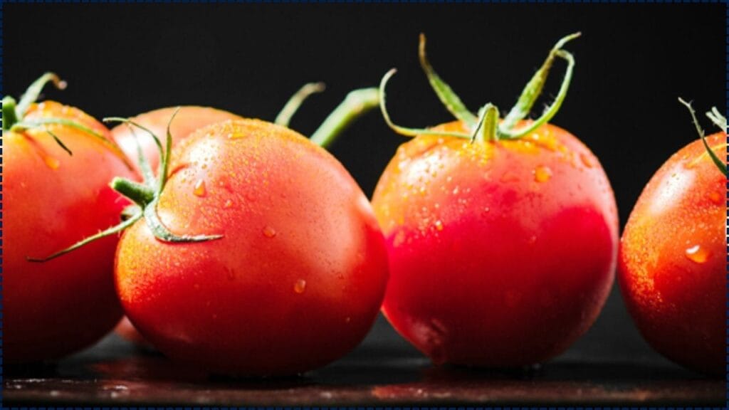 Galápagos Tomatoes Are Evolving in Reverse and Scientists Are Baffled 1 Galápagos Tomatoes Are Evolving in Reverse