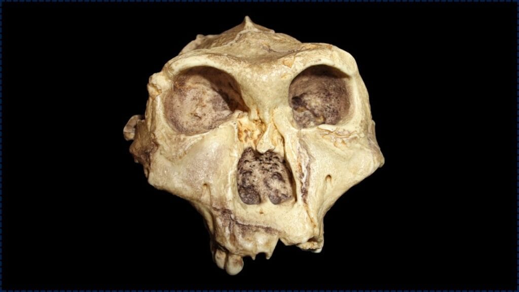 Neanderthal Bone Site in Germany Reveals Clues About Ancient Fat Processing 1 Neanderthal Bone Site in Germany Reveals Clues
