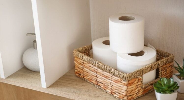 No More Bites! The Viral Toilet Paper Method to Get Rid of Mosquitoes Fast 2 Toilet Paper Method