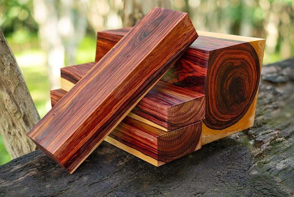 World’s Most Expensive Wood Costs More Than Gold and Grows in Just a Few Places 2 World’s Expensive Wood