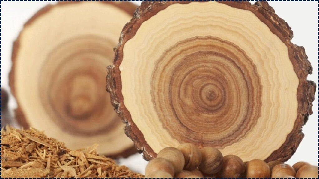 World’s Most Expensive Wood Costs More Than Gold and Grows in Just a Few Places 1 World’s Most Expensive Wood Costs