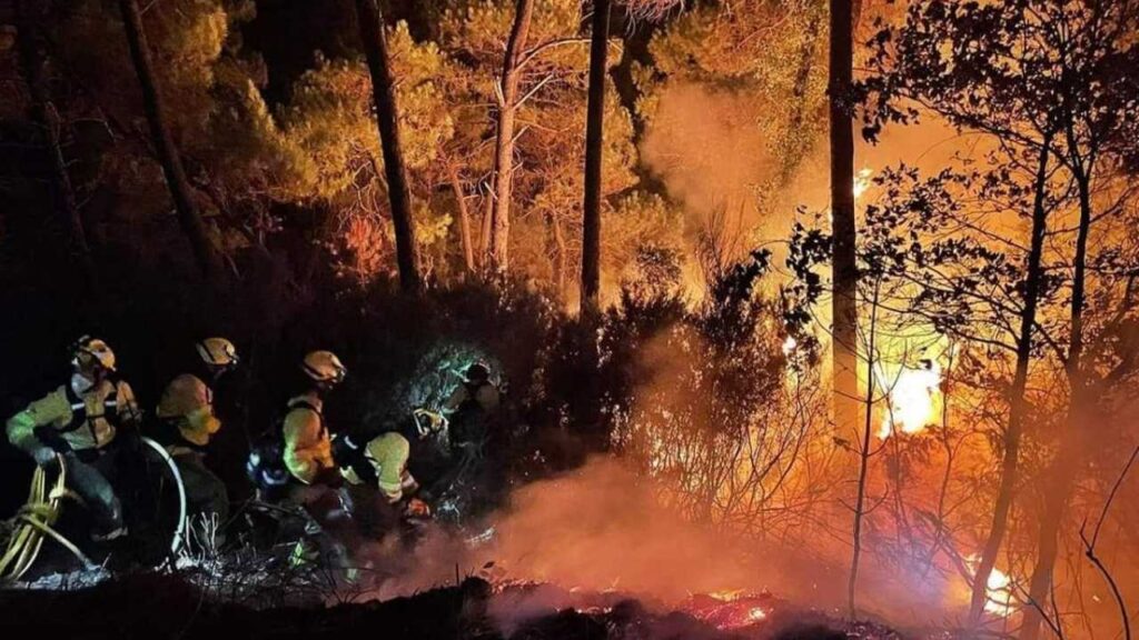 Incendios Forestales: Nueva Campaña Nacional Comienza El 1 De Junio — Lo Que Debes Saber 1 Nueva Campaña Nacional Comienza El 1 De Junio